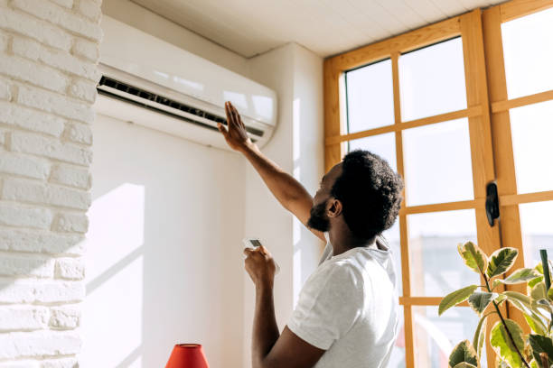 Best Air Conditioning Cleaning in Pingree Grove, IL